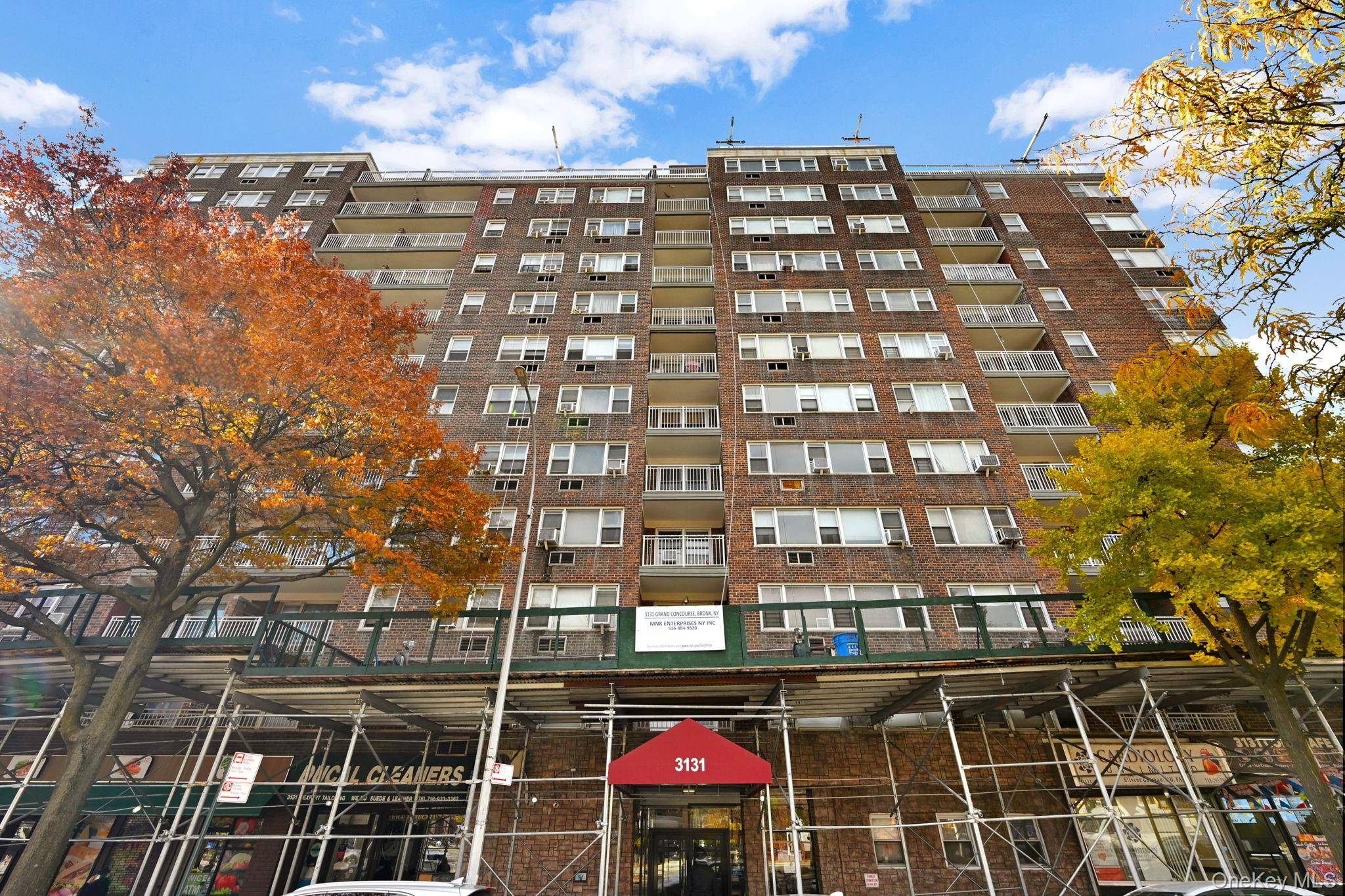 3131 Grand Concourse, Bronx, NY 10468, USA property photo