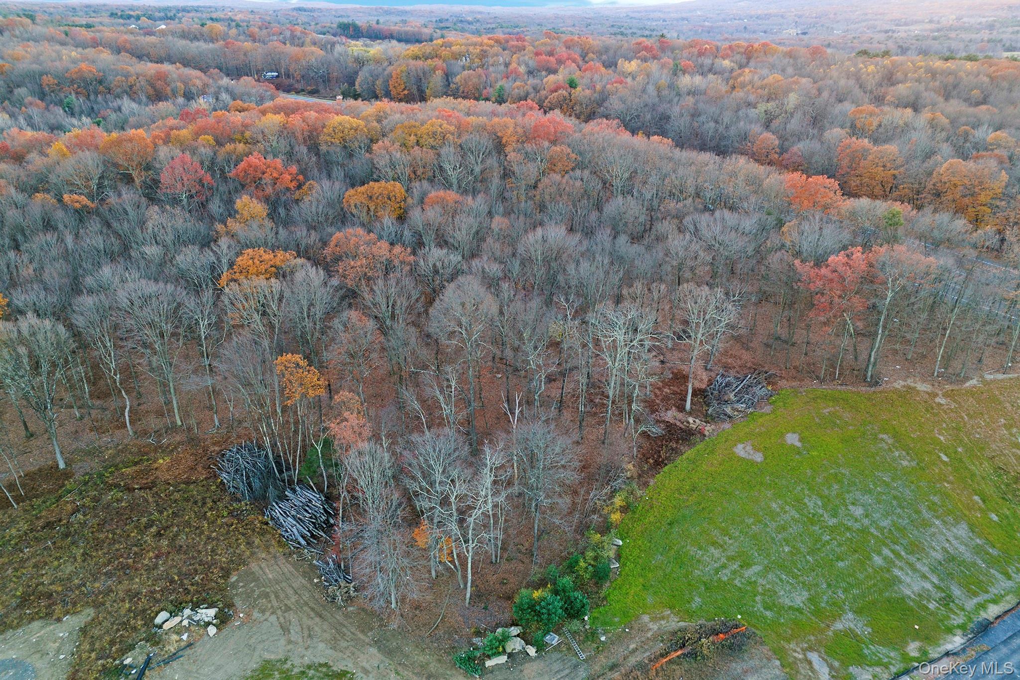 Bloomingburg, NY 12721, USA property photo