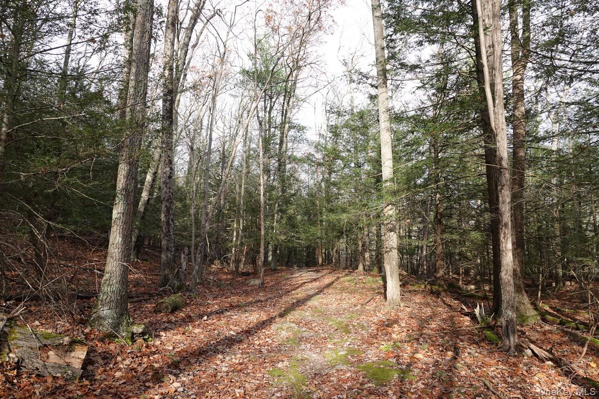 738 Manorville Rd, Saugerties, NY 12477, USA property photo