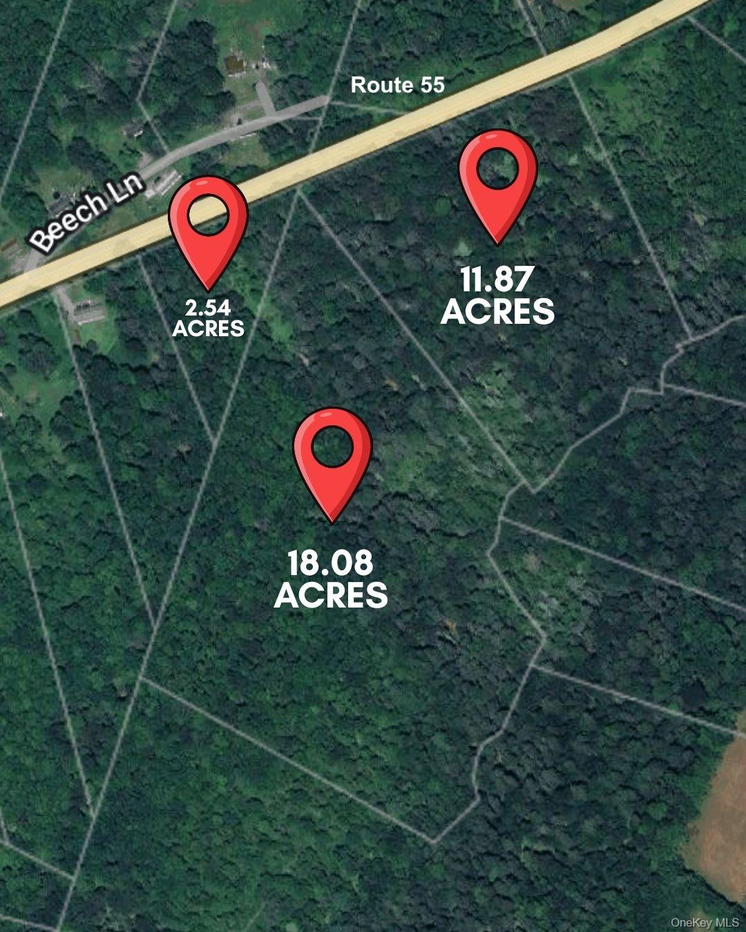 Neversink Rd, Liberty, NY 12754, USA property photo