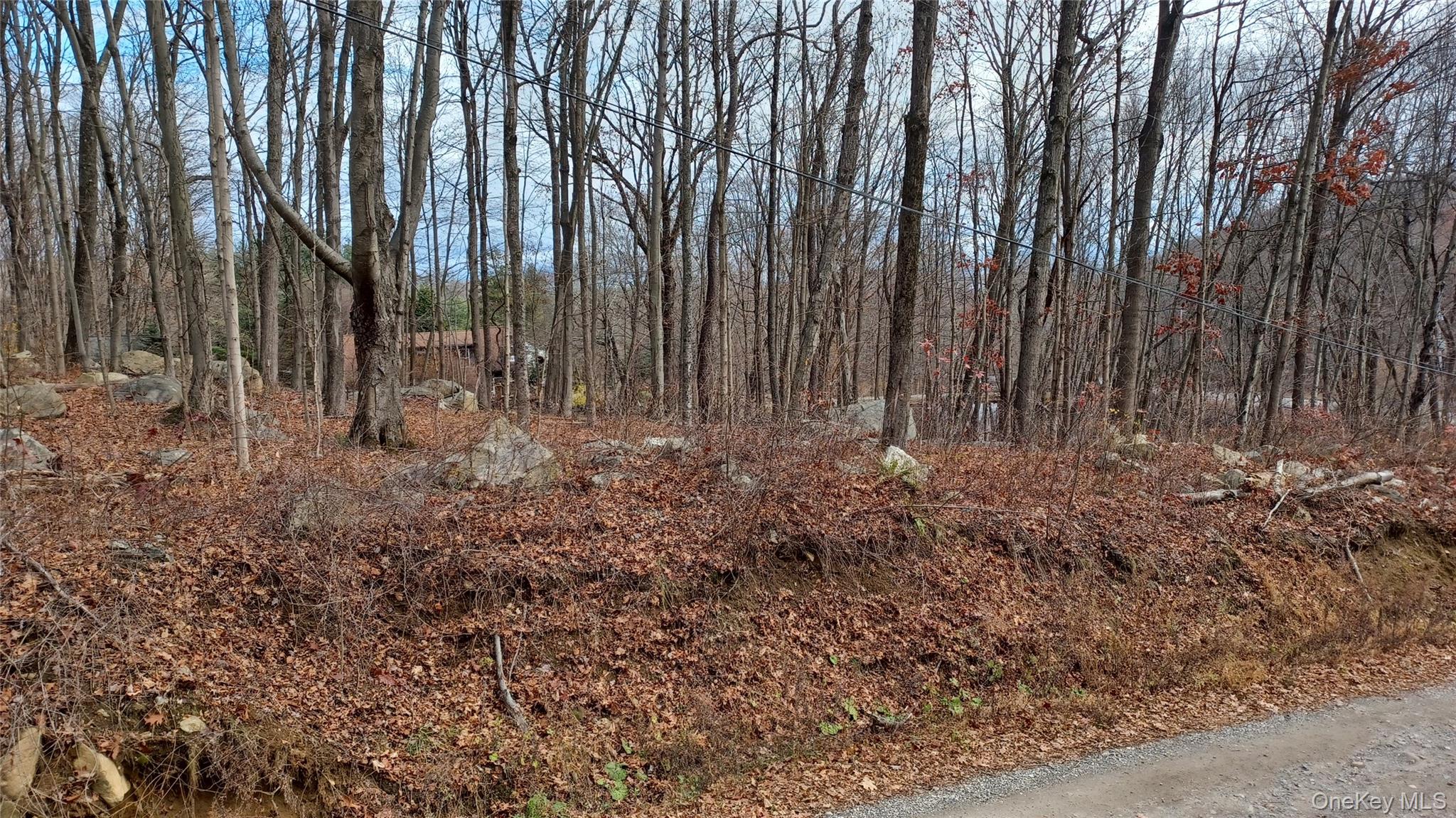 4 Prout Ln, Stormville, NY 12582, USA property photo