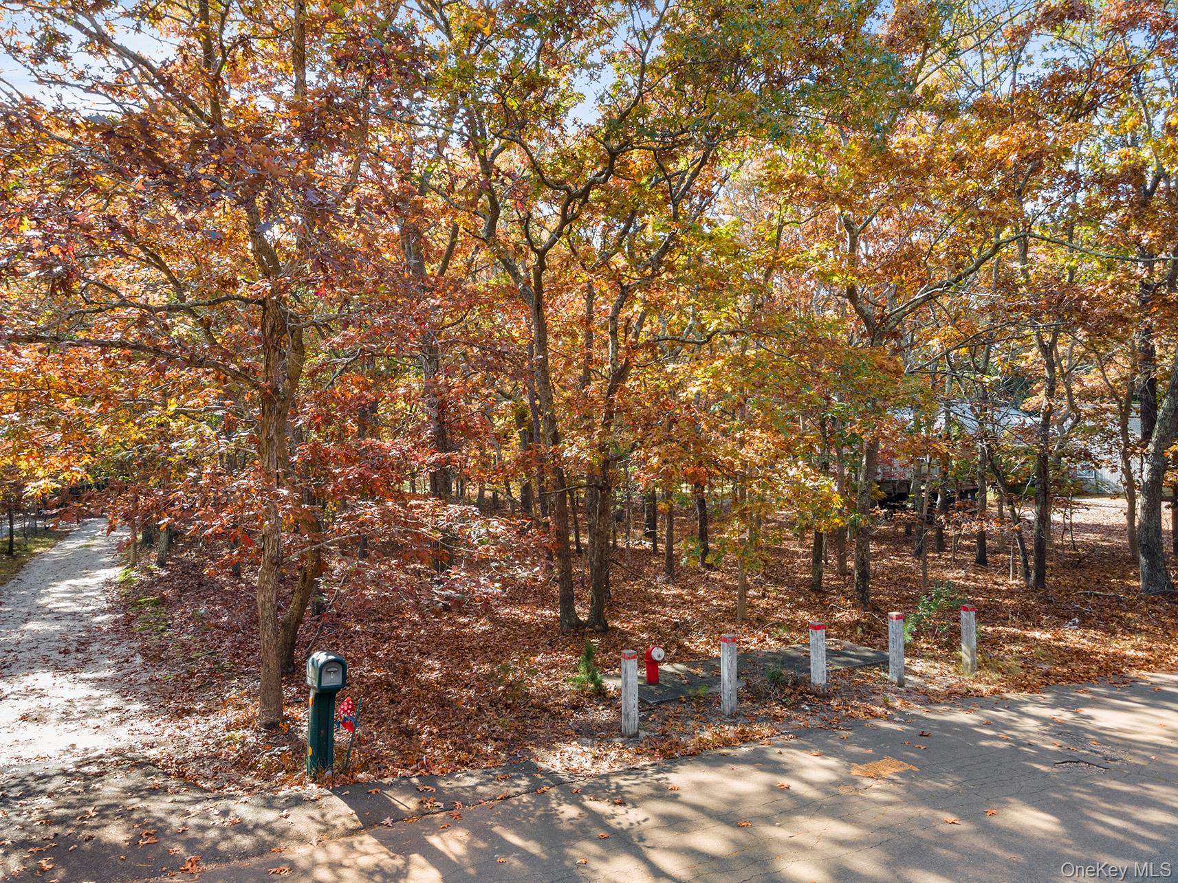 38 Wooded Oak Ln, East Hampton, NY 11937, USA property photo