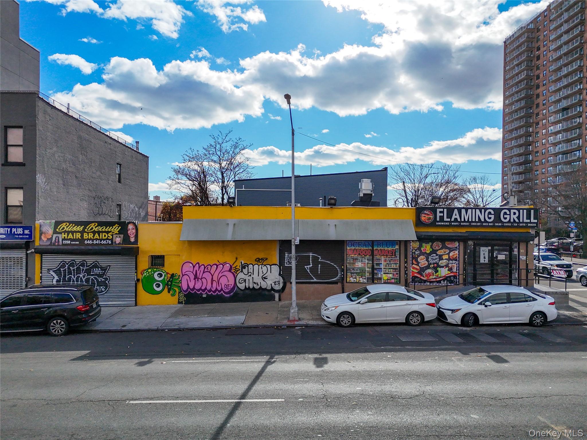 2258 Atlantic Ave, Brooklyn, NY 11233, USA property photo