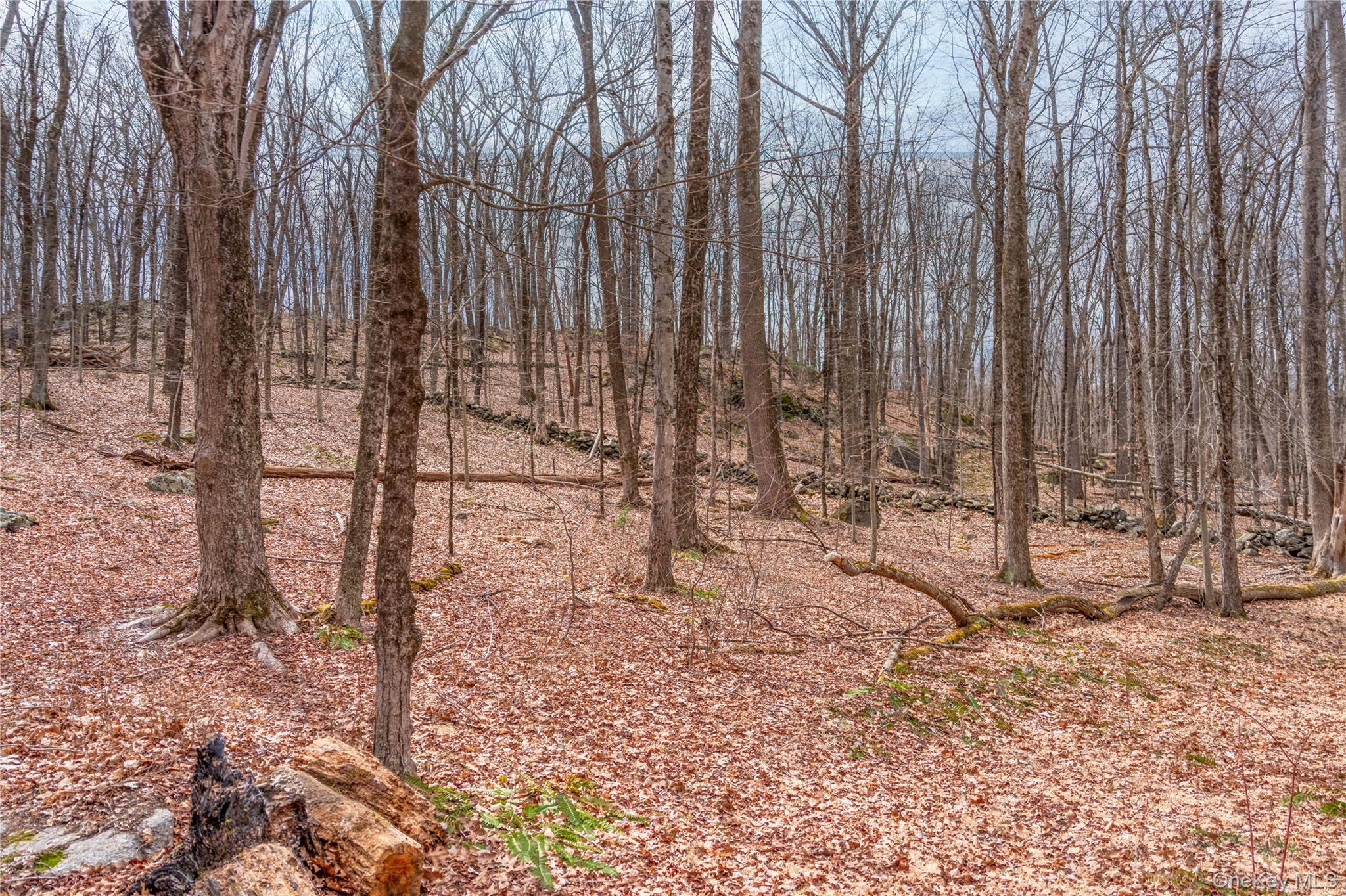 32 Joshua Hobby Ln, Pound Ridge, NY 10576, USA property photo