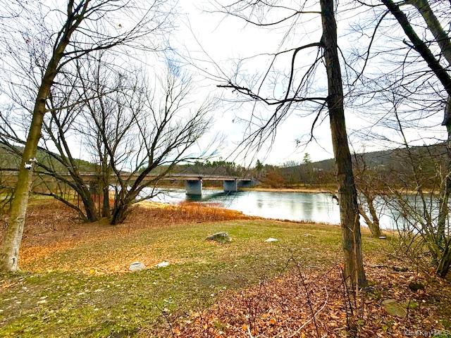 Barryville, NY 12719, USA property photo