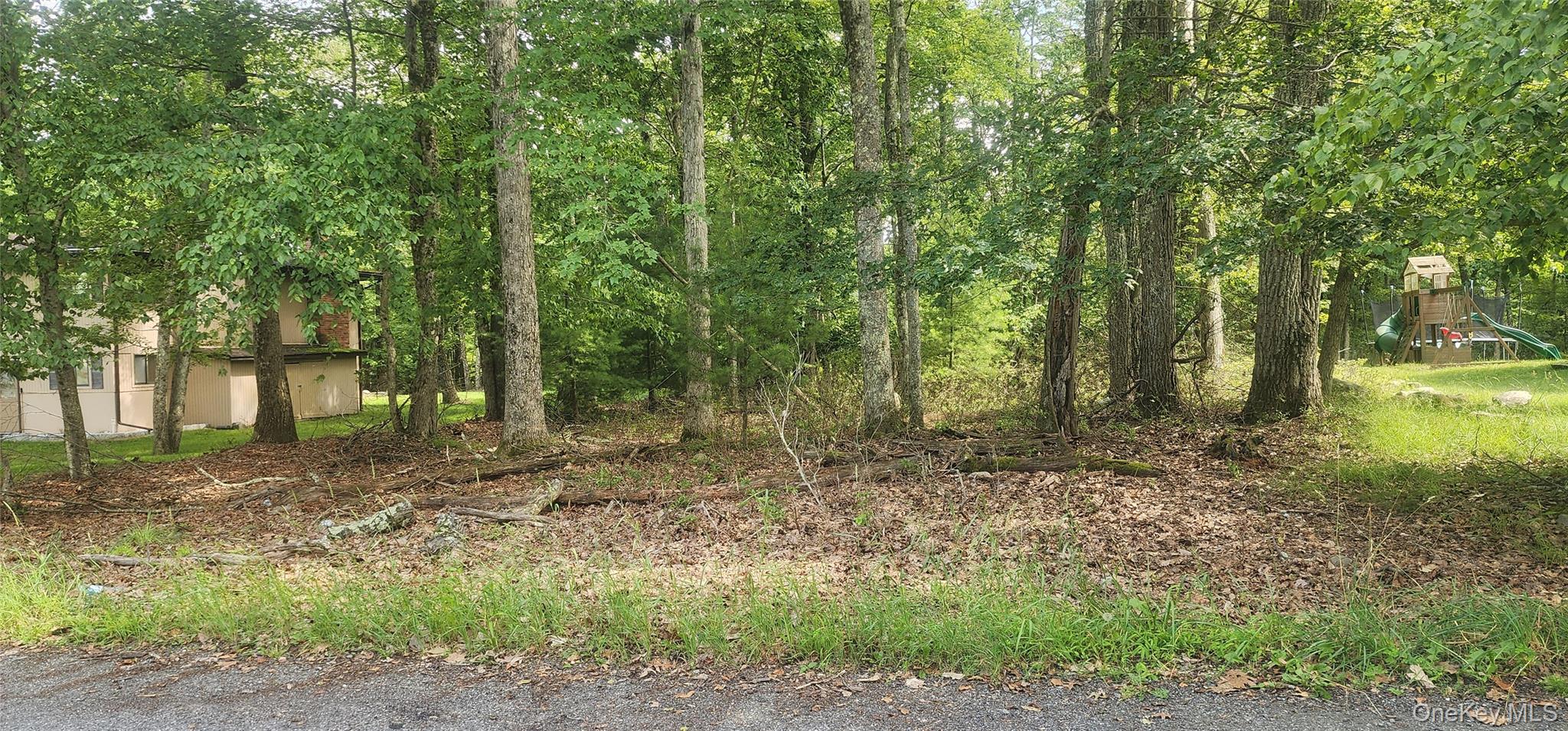 Chelsea Ln, Rock Hill, NY 12775, USA property photo