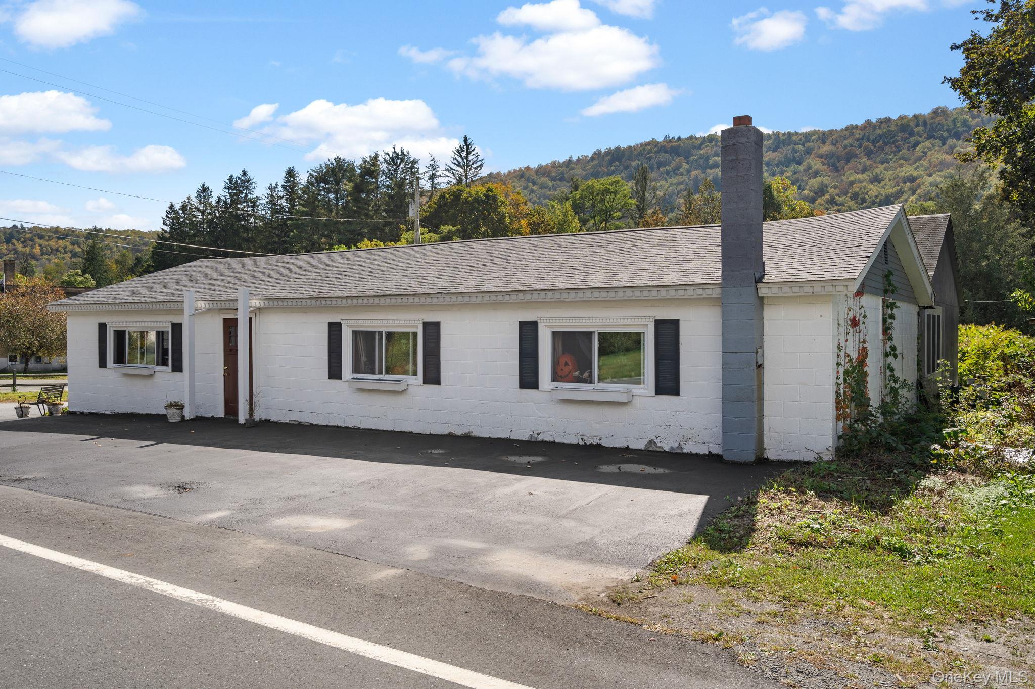 11625 NY-97, Long Eddy, NY 12760, USA property photo