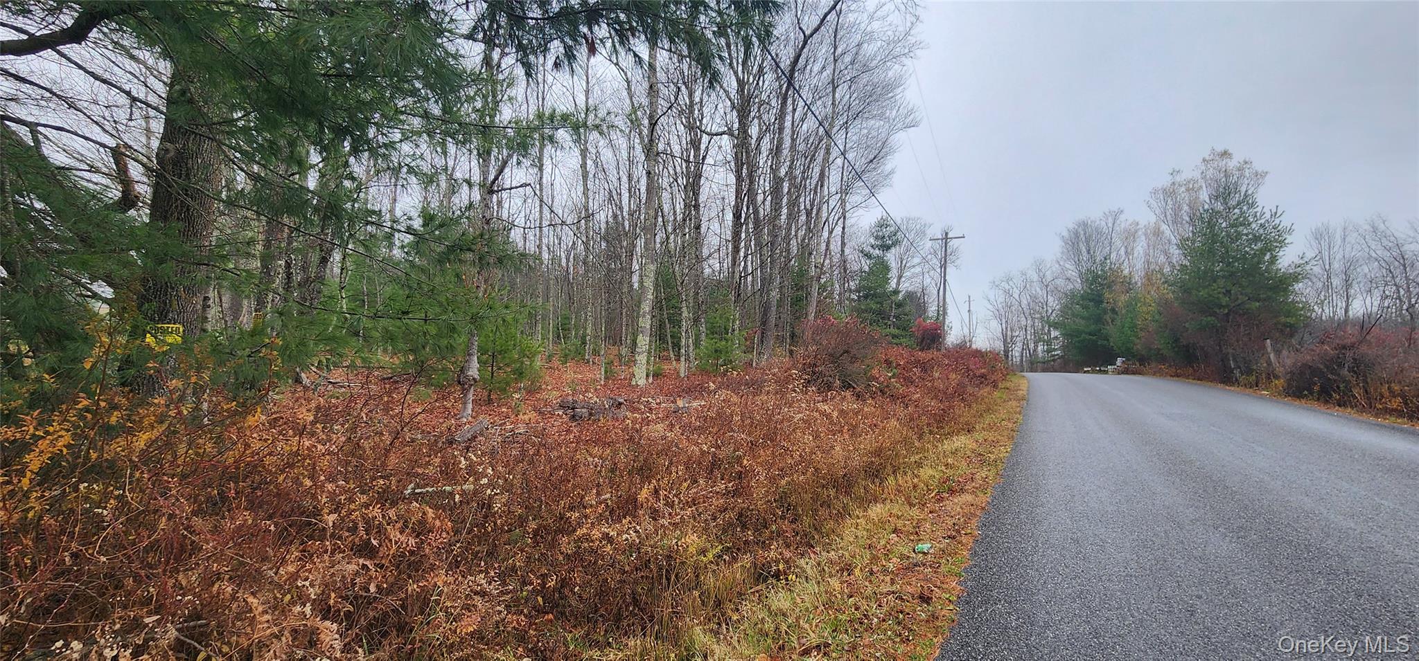 Thompsonville, NY 12784, USA property photo