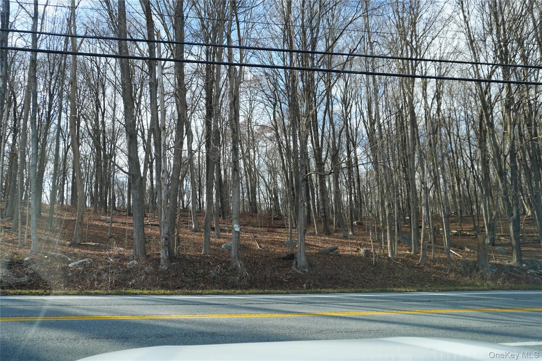 NY-301, Kent Cliffs, NY 10512, USA property photo
