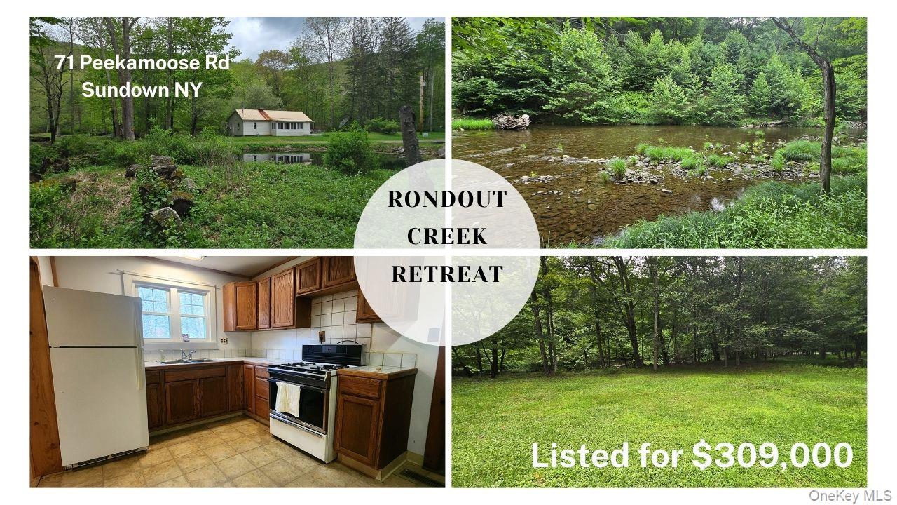 71 Peekamoose Rd, Sundown, NY 12740, USA property photo