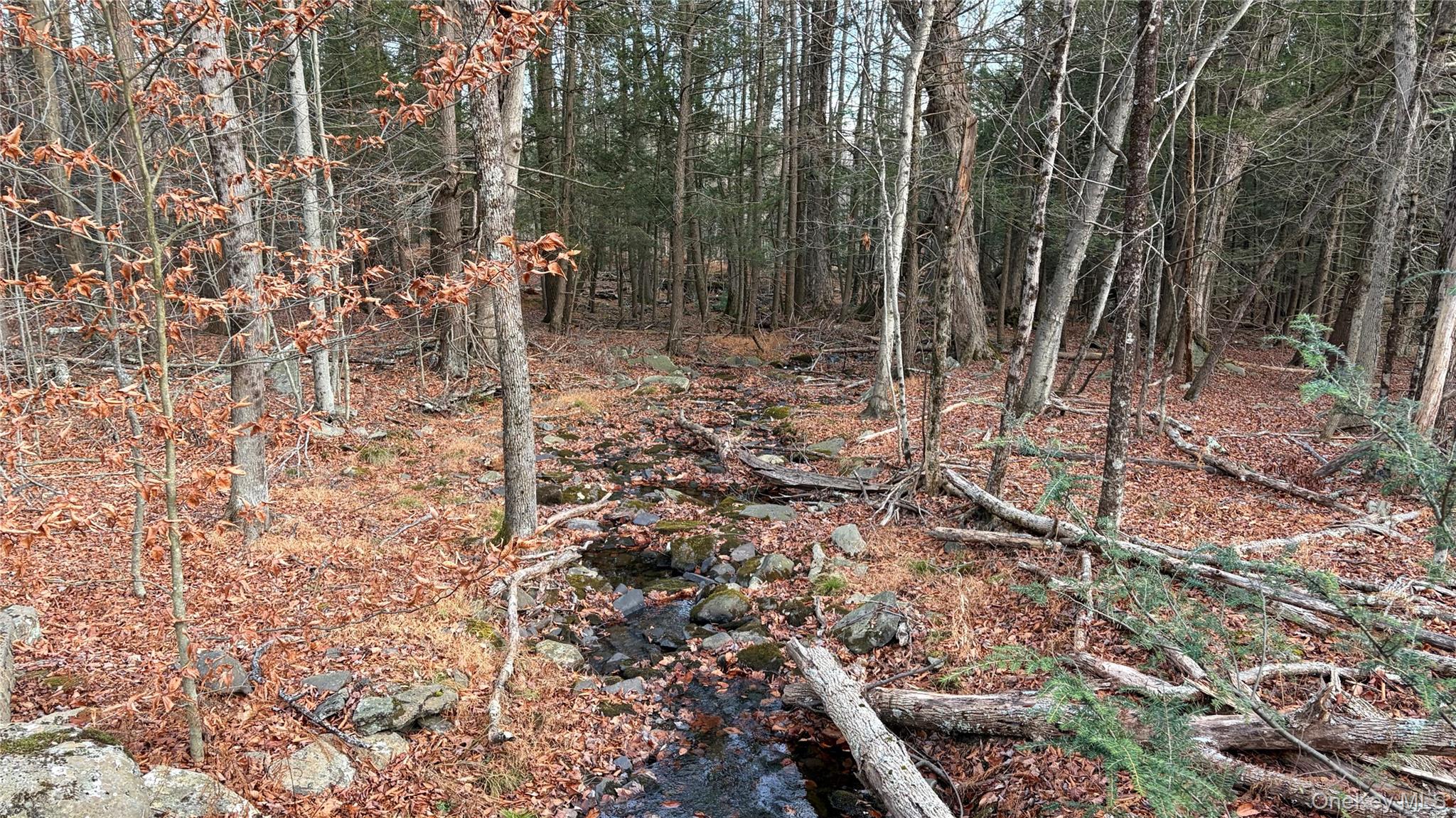 Aldrich Rd, Wurtsboro, NY 12790, USA property photo