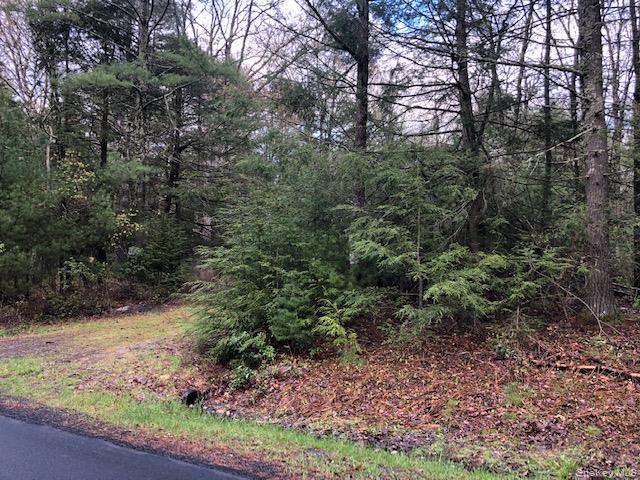 Highland, NY 12528, USA property photo