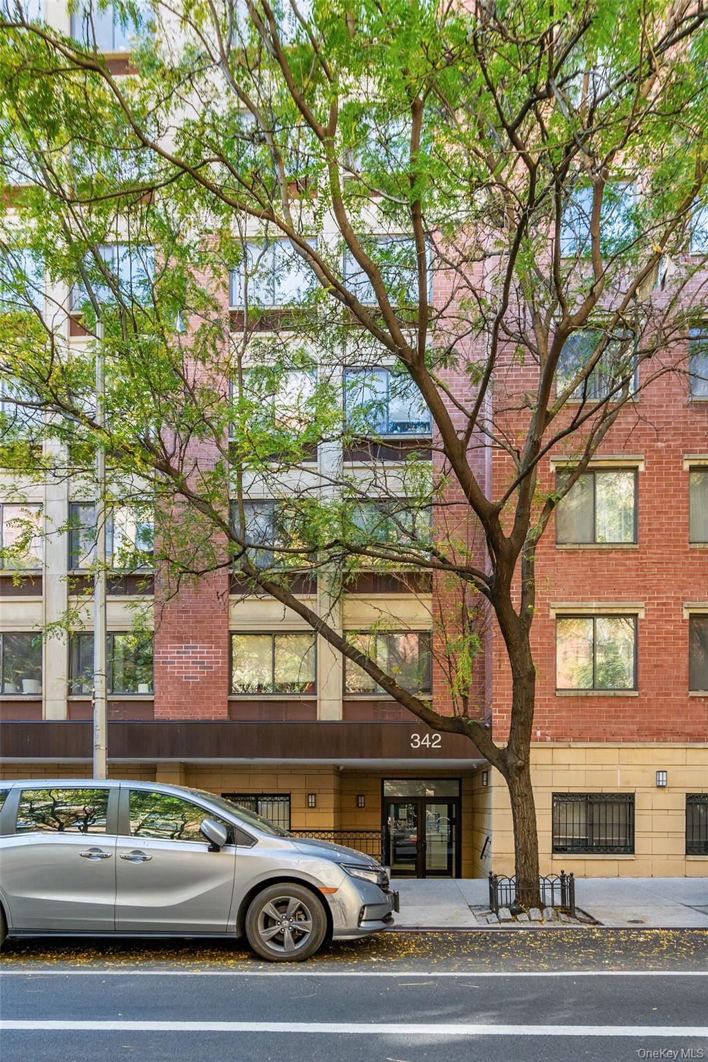 342 E 119 St Unit 1F New York (Manhattan), NY 10035 property photo