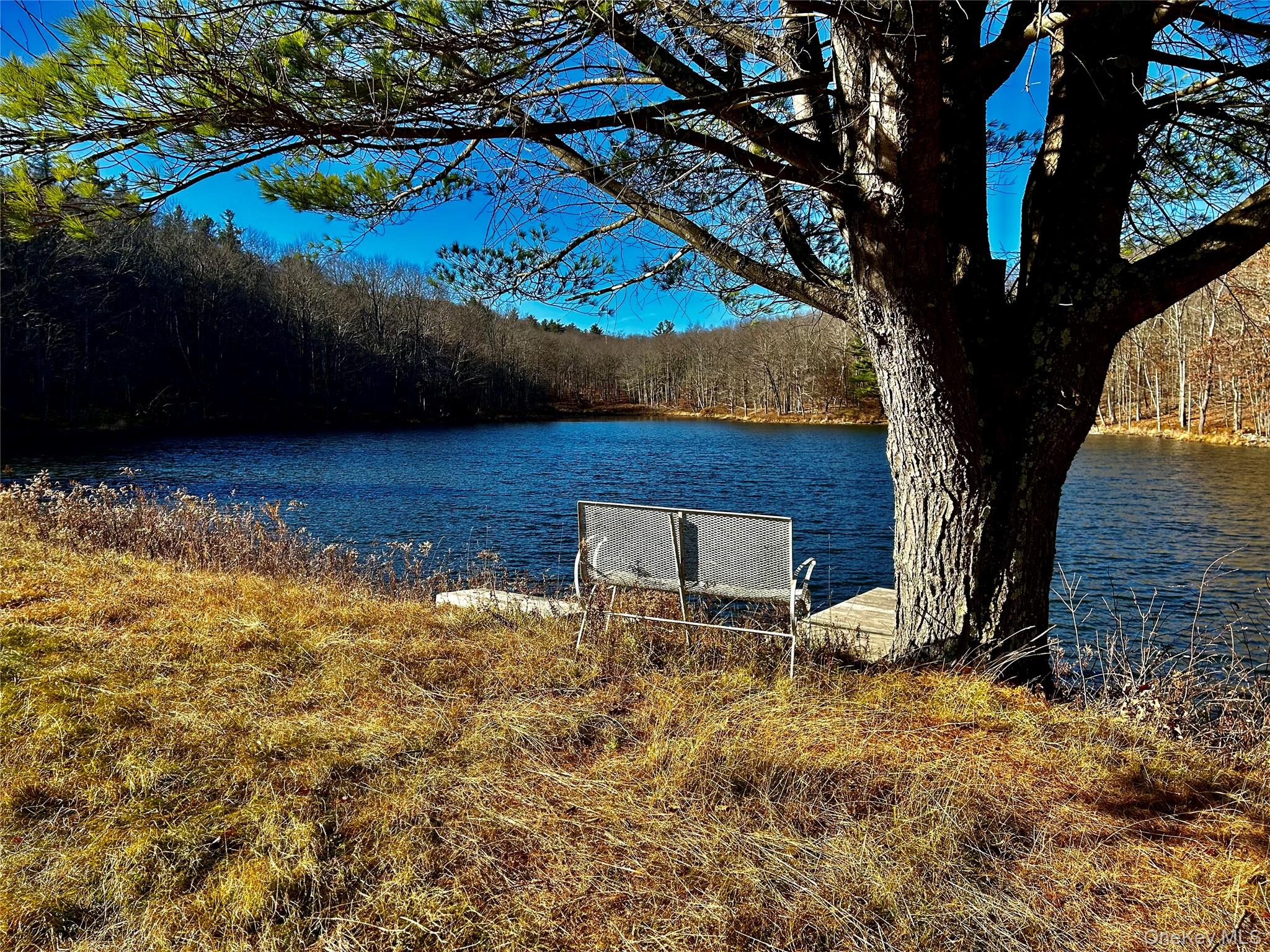0 Dugway Rd, Hillsdale, NY 12529, USA property photo