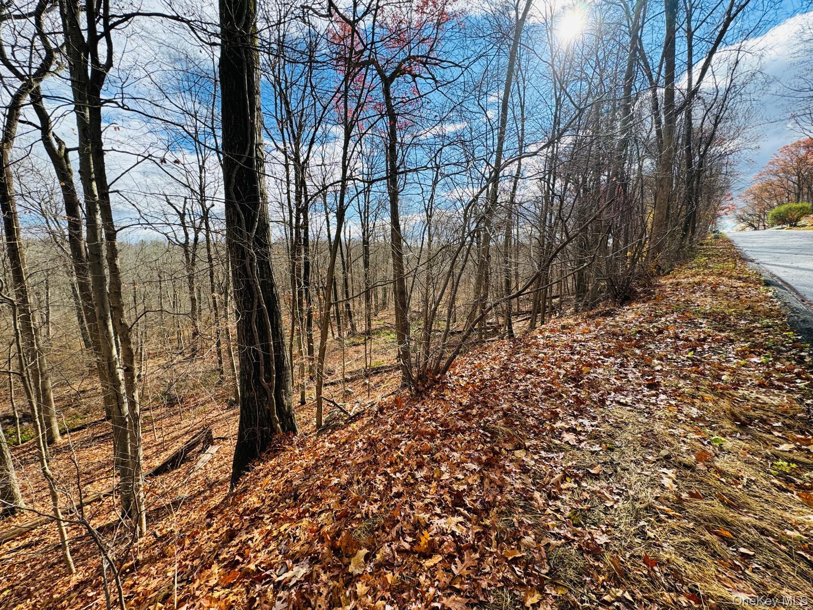 11 Shamrock Dr, Putnam Valley, NY 10579, USA property photo