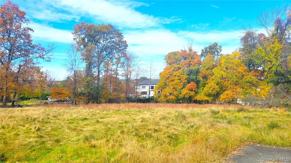 FOR SALE, 114 E Willow Tree Rd, Spring Valley, NY 10977, USA property photo