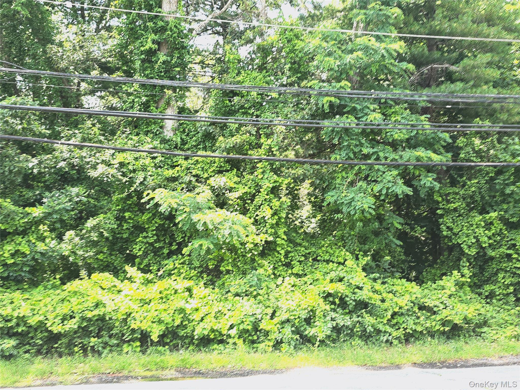 Yaphank Middle Island Rd, Yaphank, NY 11980, USA property photo
