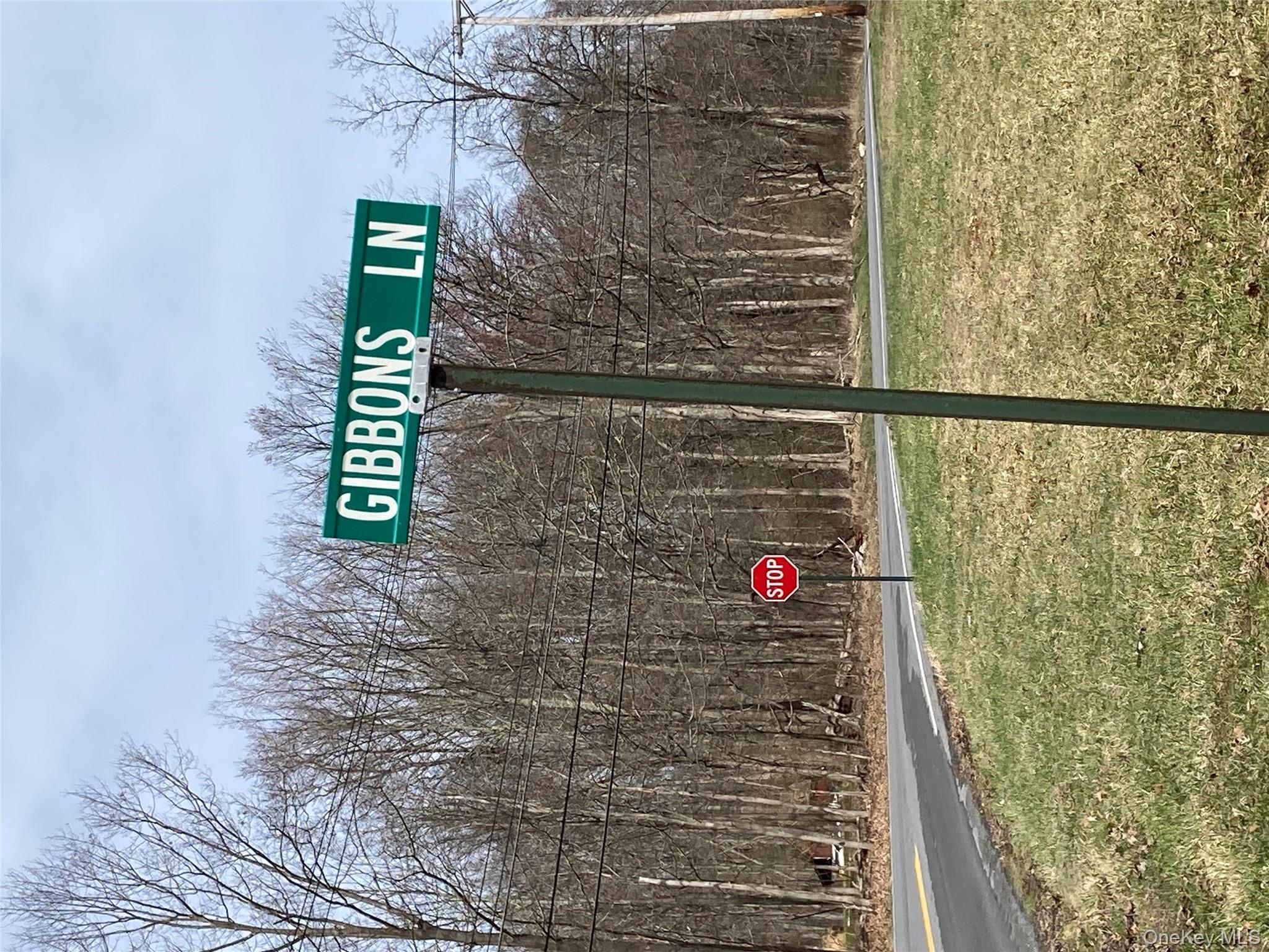 799 Albany Post Rd, New Paltz, NY 12561, USA property photo