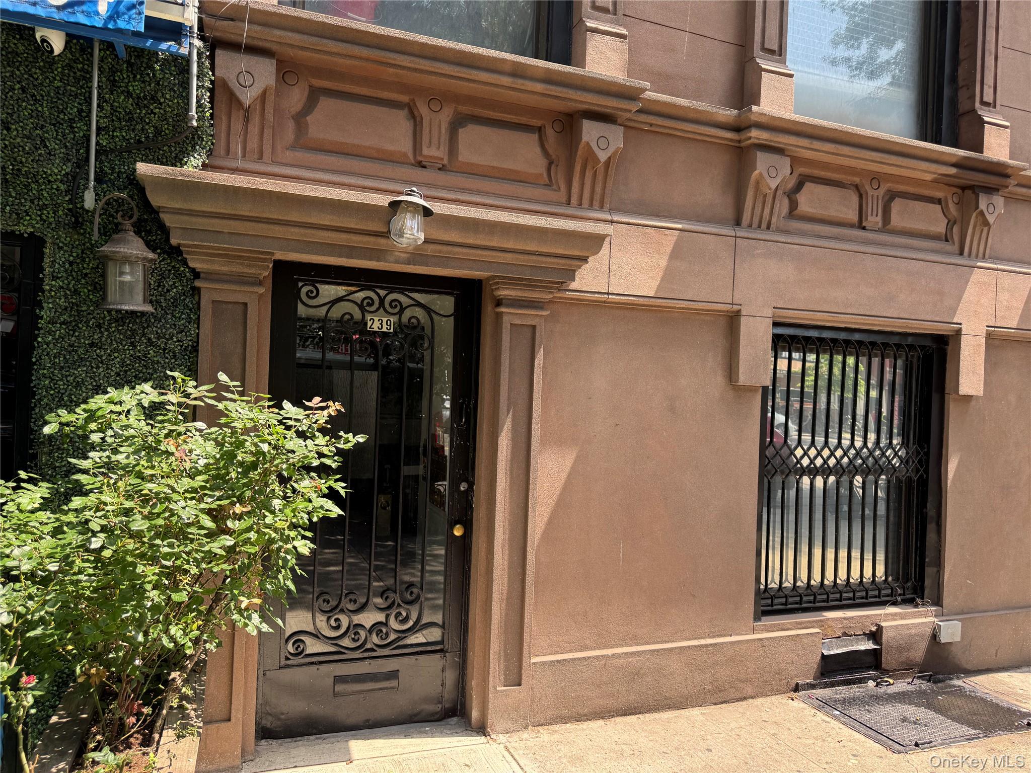 239 E 116th St, New York, NY 10029, USA property photo