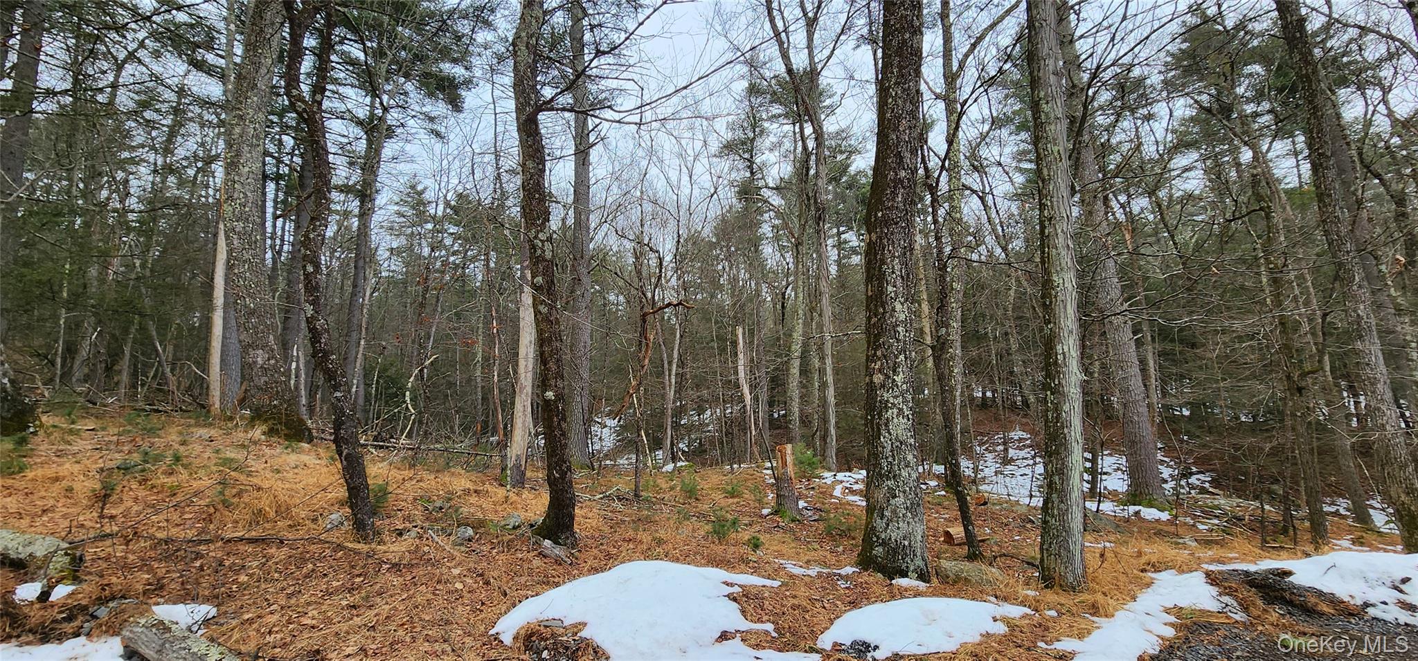 Deer Hill Rd, Mamakating, NY 12790, USA property photo