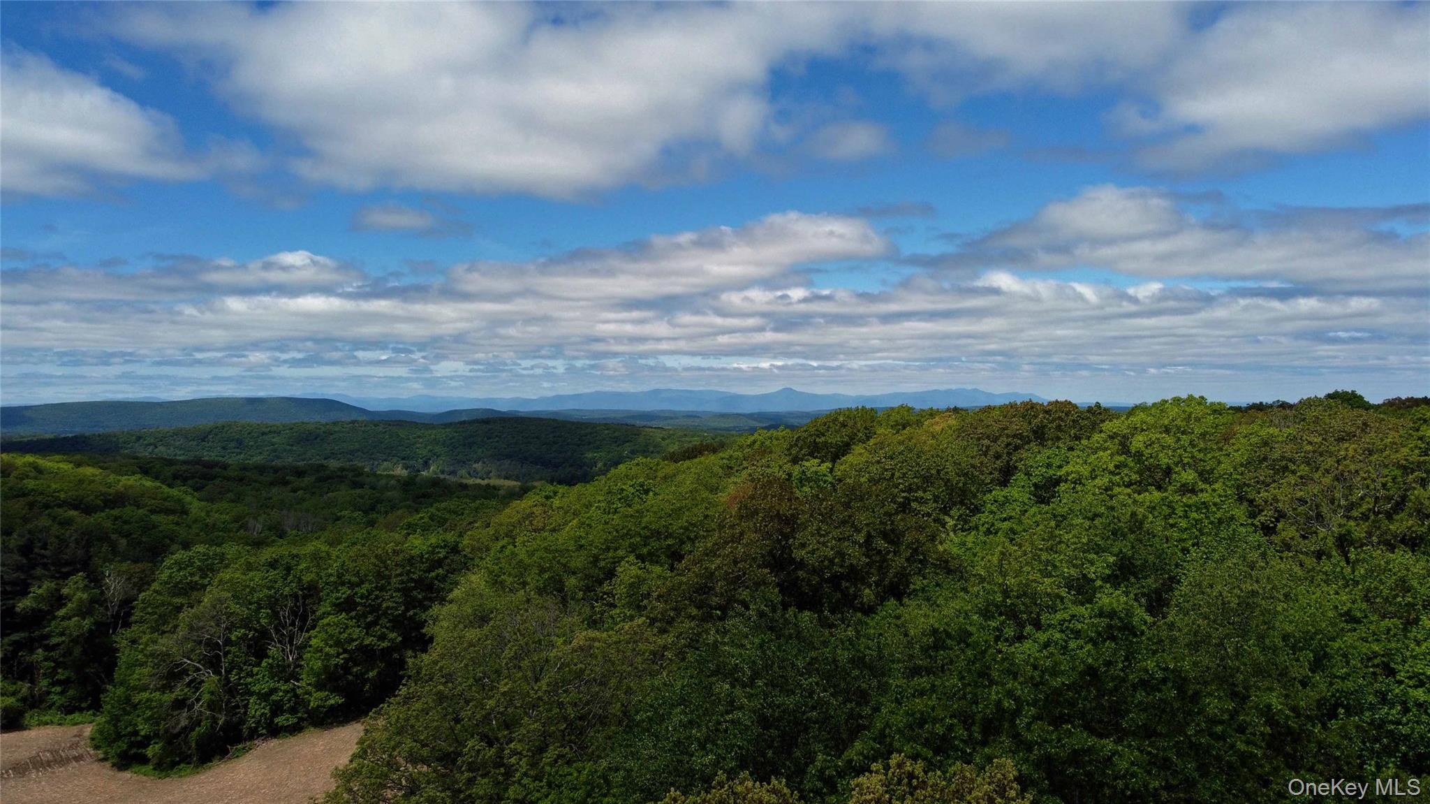 Skunks Misery Rd, Millerton, NY 12546, USA property photo