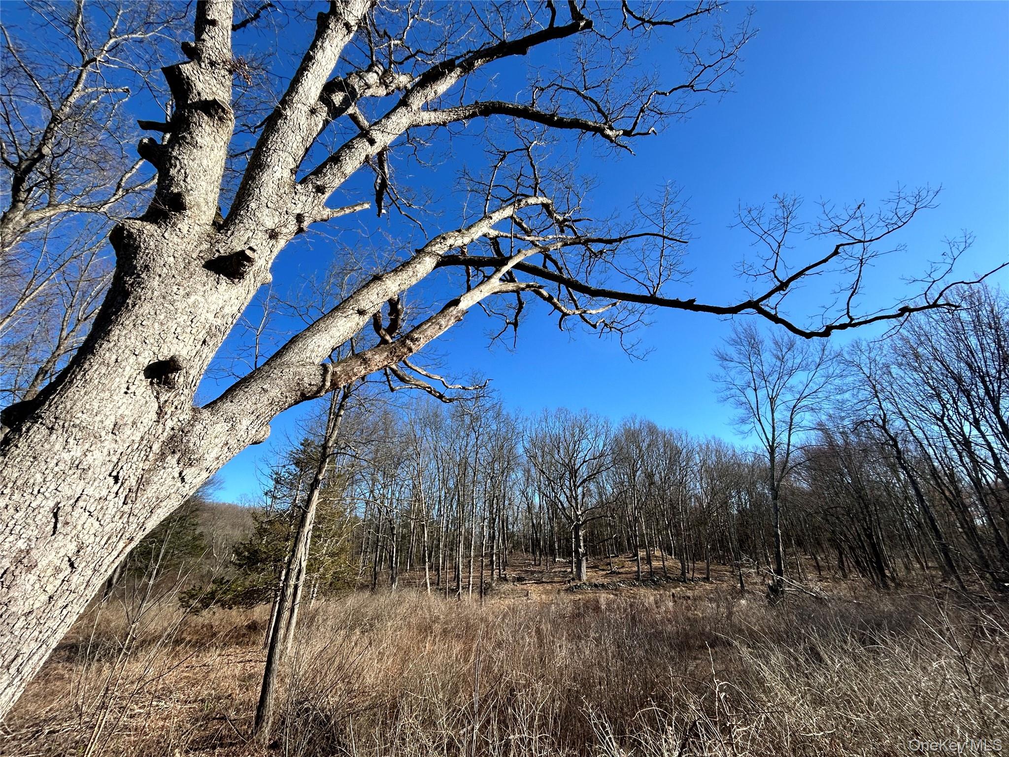 NY-9G, Rhinebeck, NY 12572, USA property photo