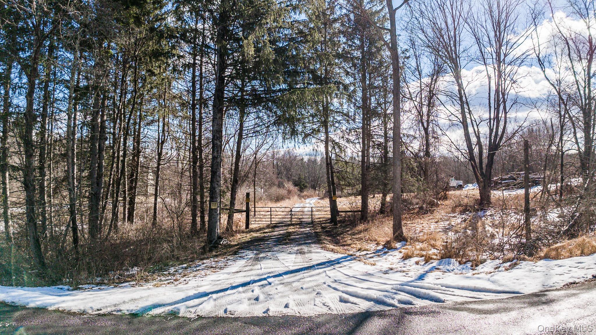 64 Seaman Rd, Circleville, NY 10919, USA property photo