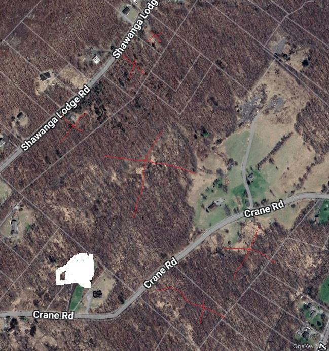 111 Crane Rd, Bloomingburg, NY 12721, USA property photo
