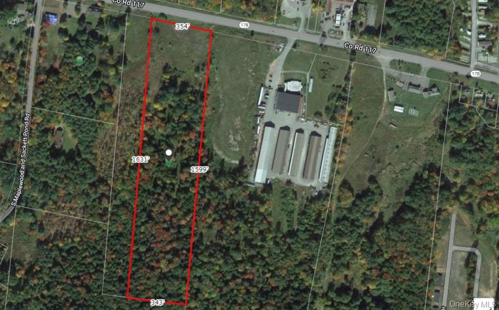 NY-17B, Monticello, NY 12701, USA property photo