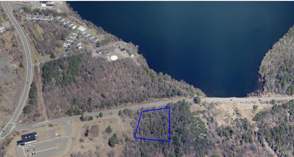 42 Concord Rd, Monticello, NY 12701, USA property photo