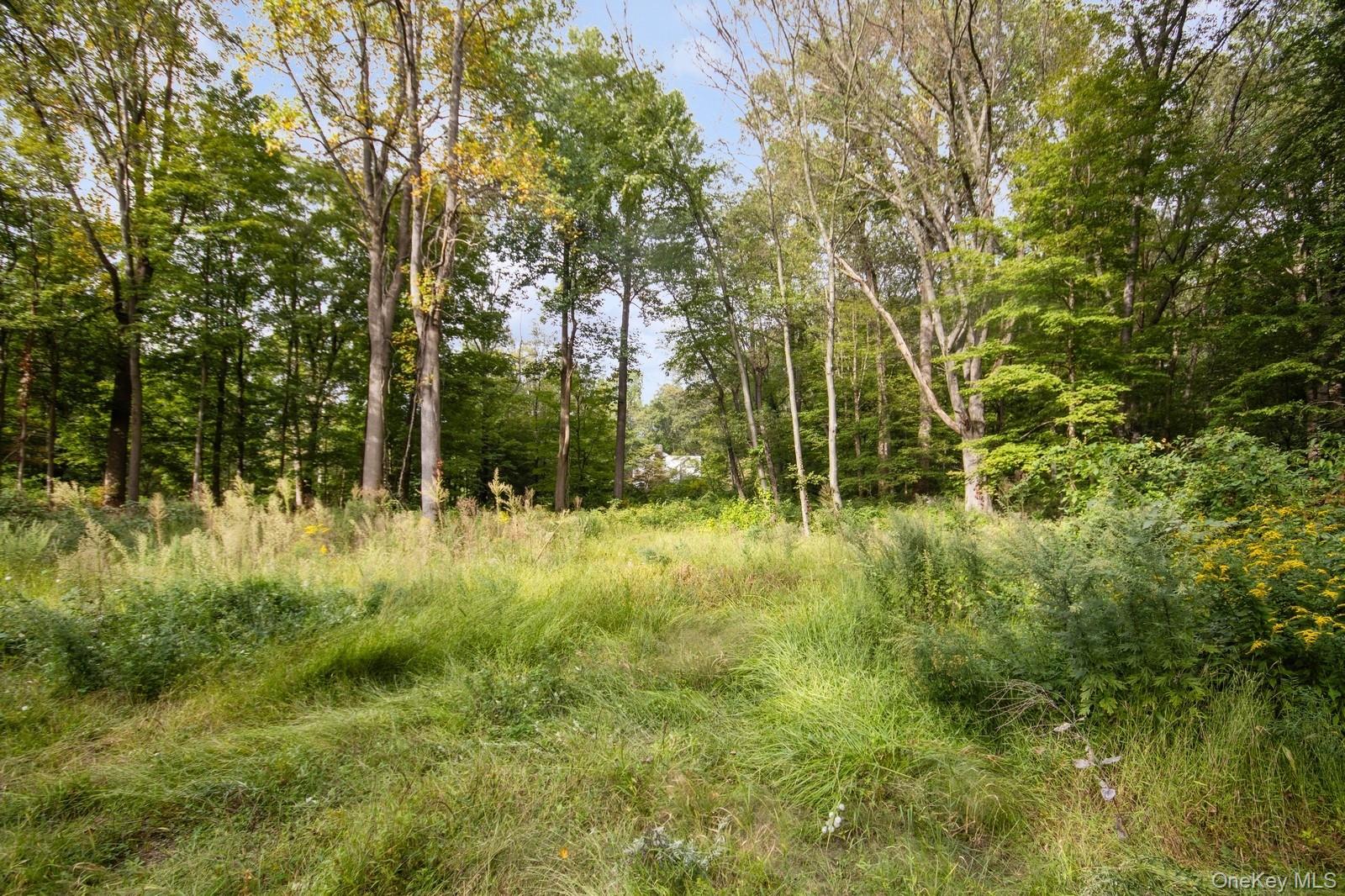 NY-9D, Garrison, NY 10524, USA property photo