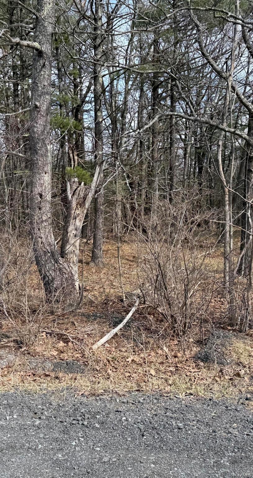 Coeymans, NY 12045, USA property photo