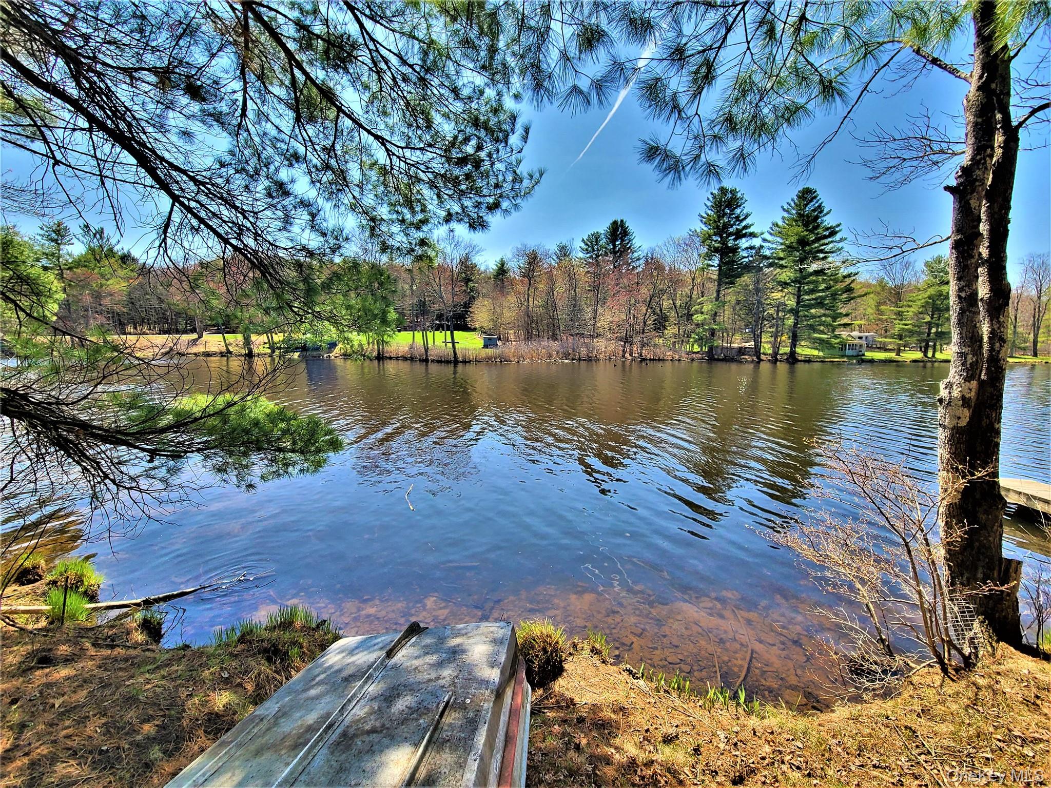 25 George Segar Rd, Swan Lake, NY 12783, USA property photo