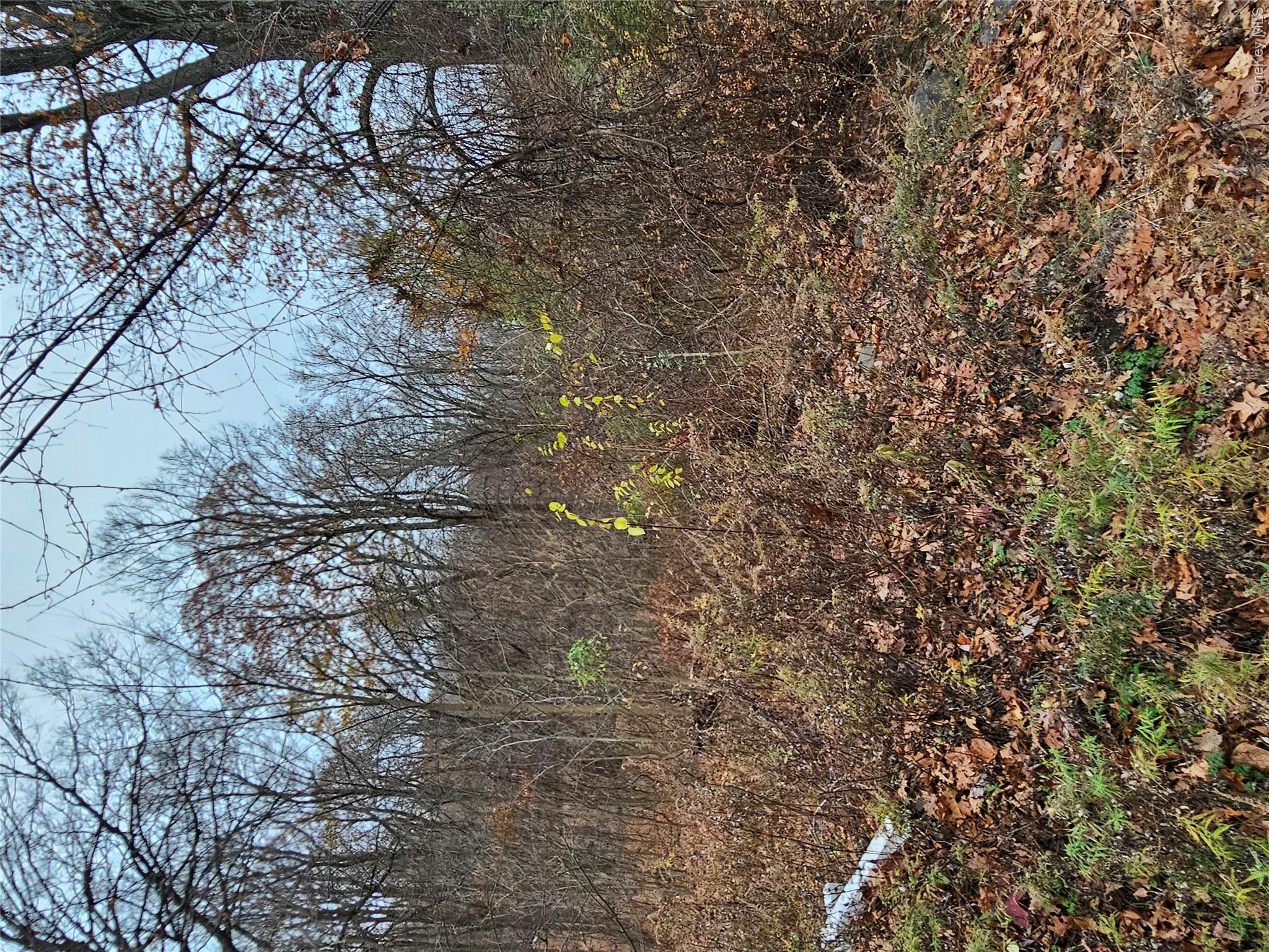 73 Sylvan Trail, Monroe, NY 10950, USA property photo